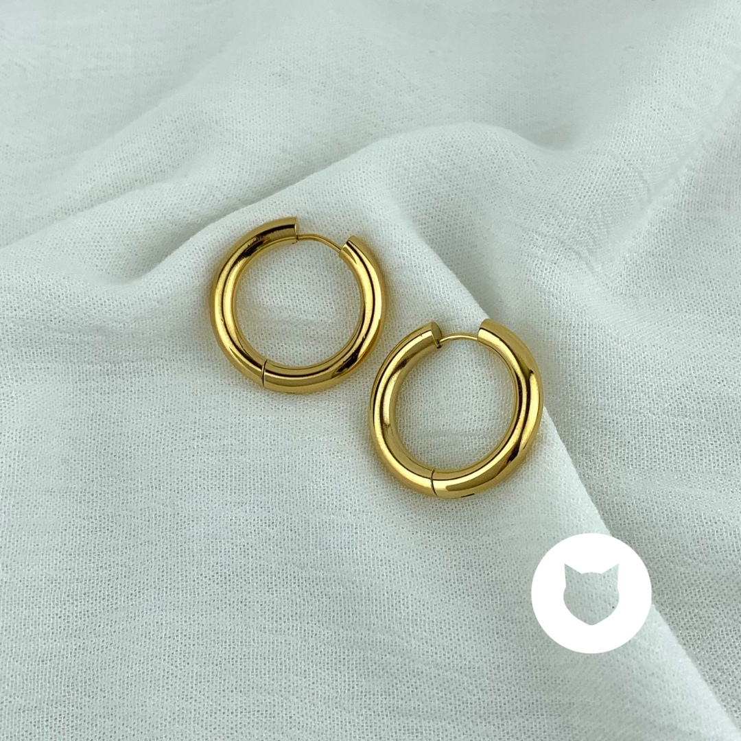 ARGOLLAS DE ACERO INOXIDABLE AG1668G34