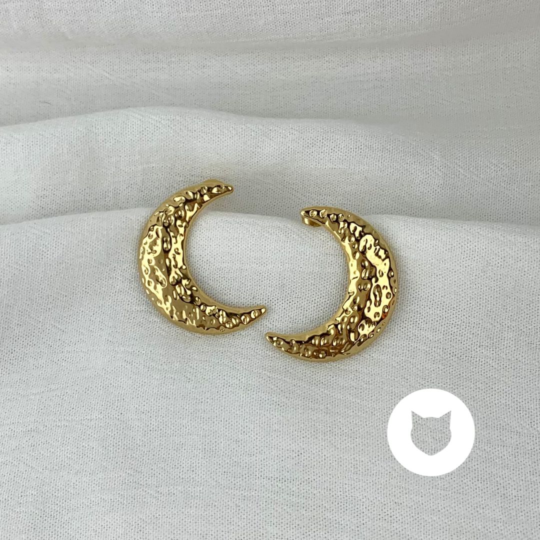 ARETES DE ACERO INOXIDABLE LUNA AR2798G65