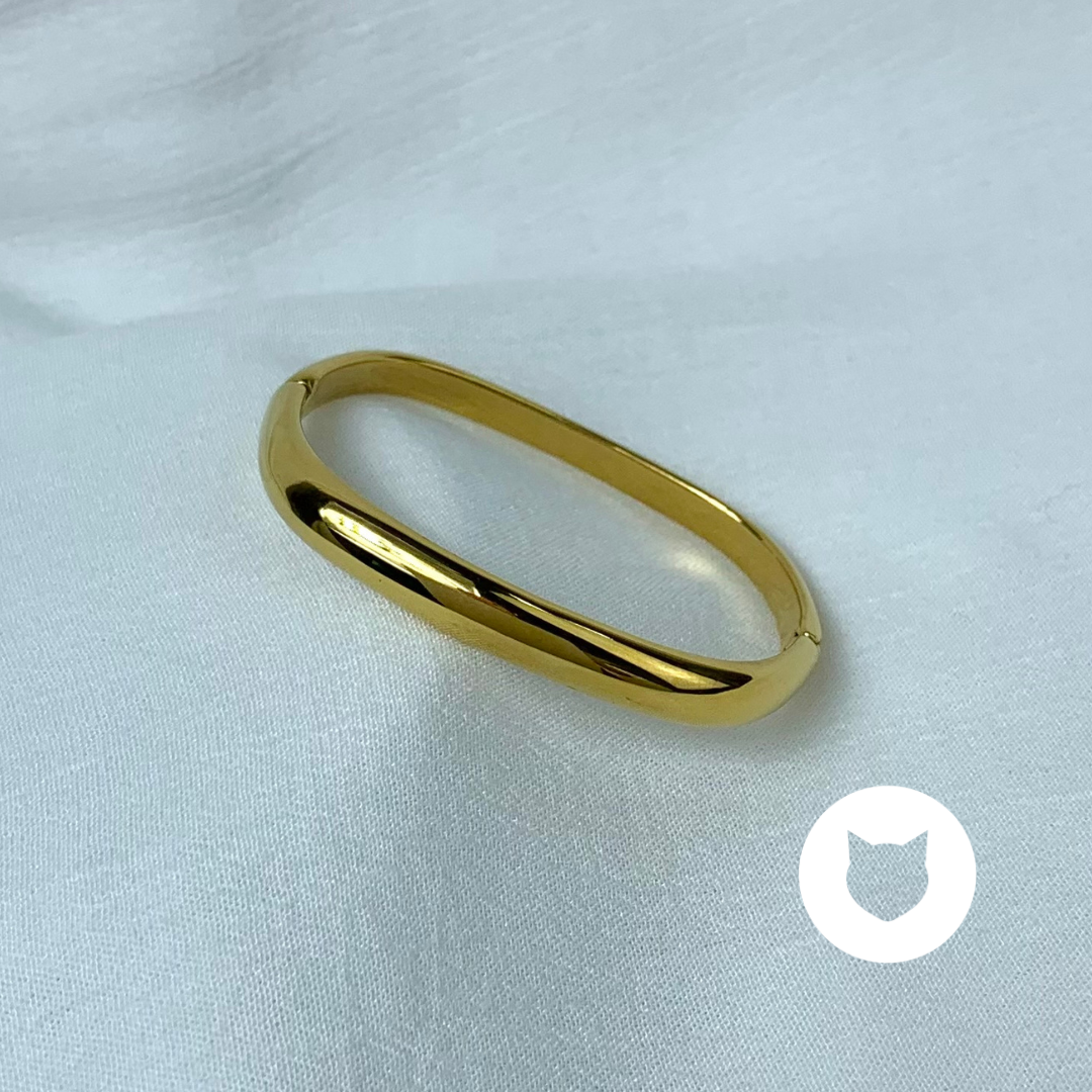​​BRAZALETE DE ACERO INOXIDABLE PU1841G43