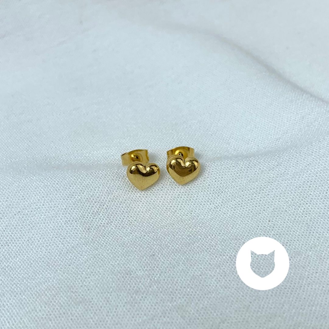 ARETES DE ACERO INOXIDABLE CORAZÓN AR2856G75