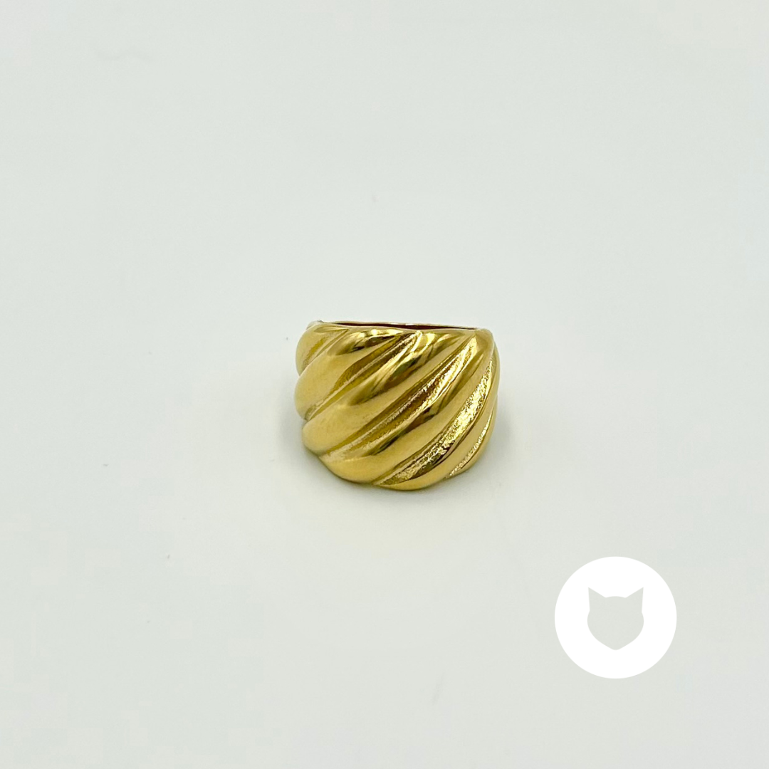ANILLO DE ACERO INOXIDABLE AN3687G31