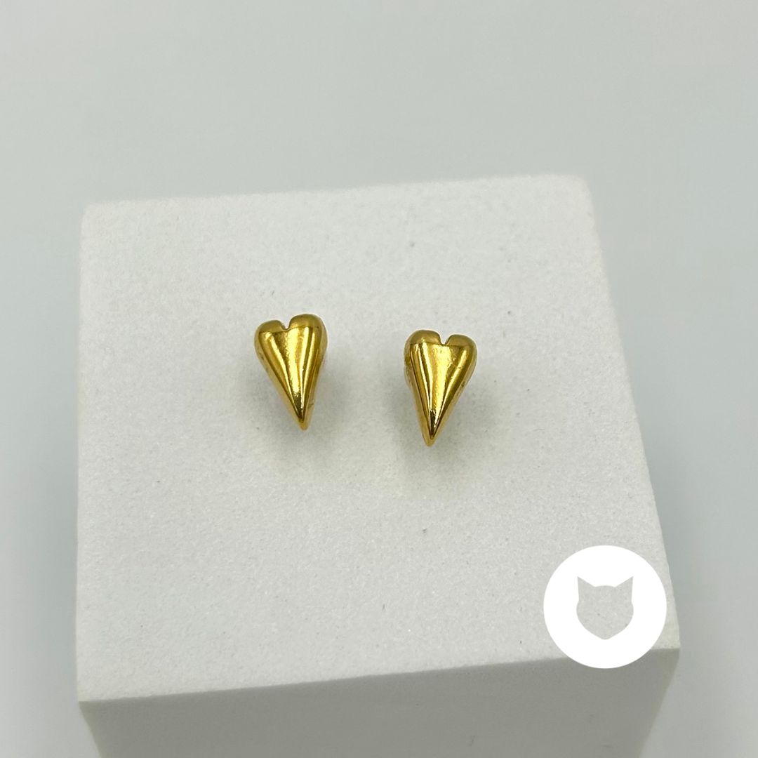 ARETES DE ACERO INOXIDABLE CORAZÓN AR2862G55 ARETES DE ACERO INOXIDABLE CORAZÓN AR2862G55