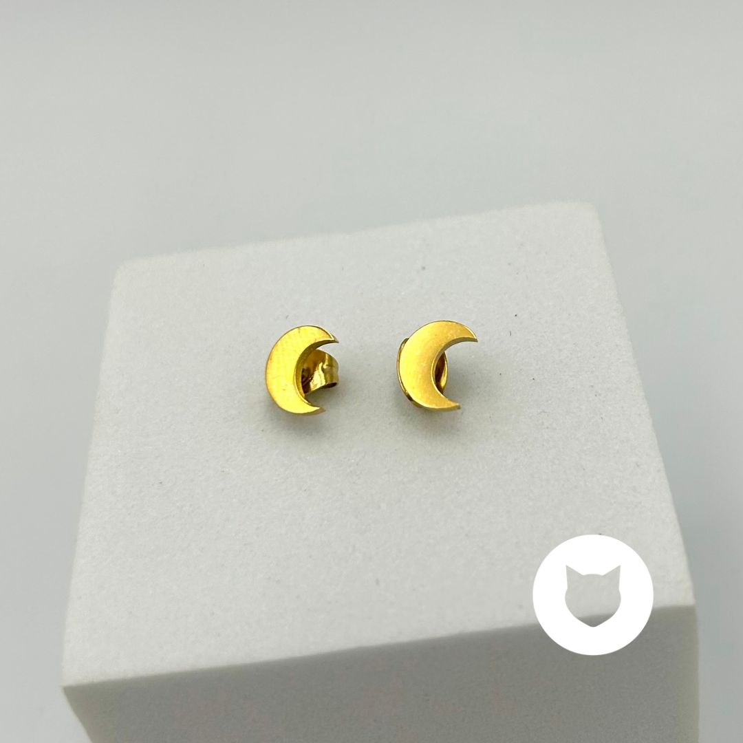 ARETES DE ACERO INOXIDABLE LUNA AR2861G114 ARETES DE ACERO INOXIDABLE LUNA AR2861G114