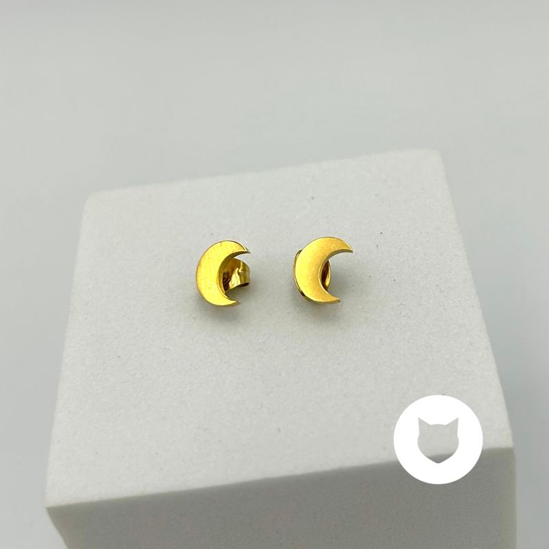 ARETES DE ACERO INOXIDABLE LUNA AR2861G114