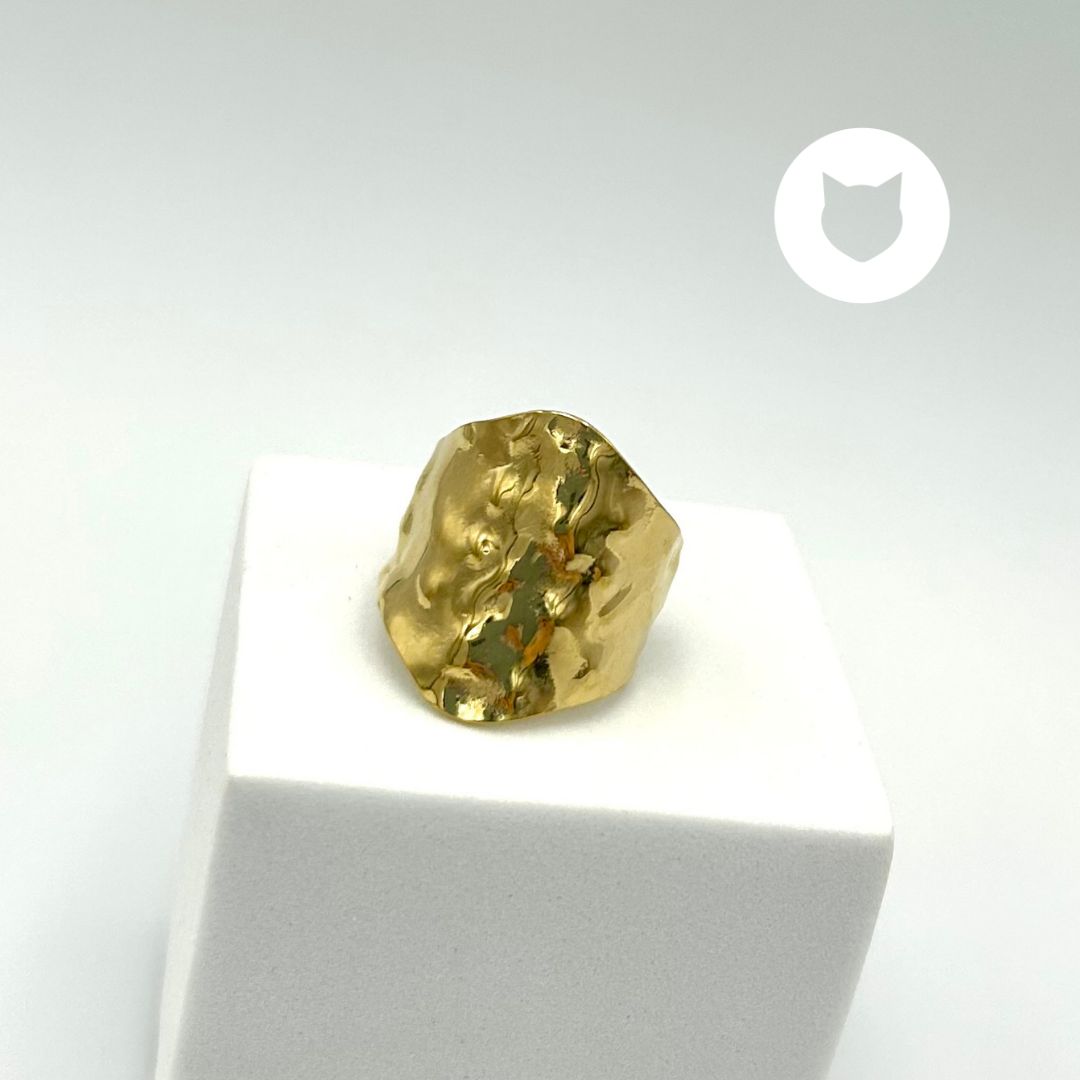 ANILLO DE ACERO INOXIDABLE AN3697G10.4