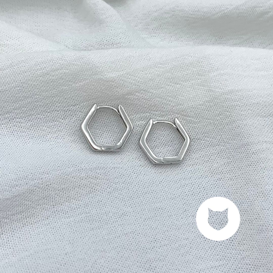 ARGOLLAS DE PLATA 925 AG1753L22