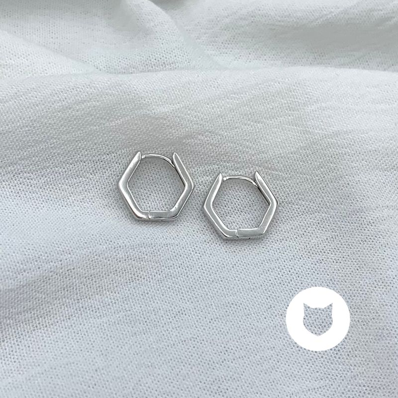 ARGOLLAS DE PLATA 925 AG1753L22