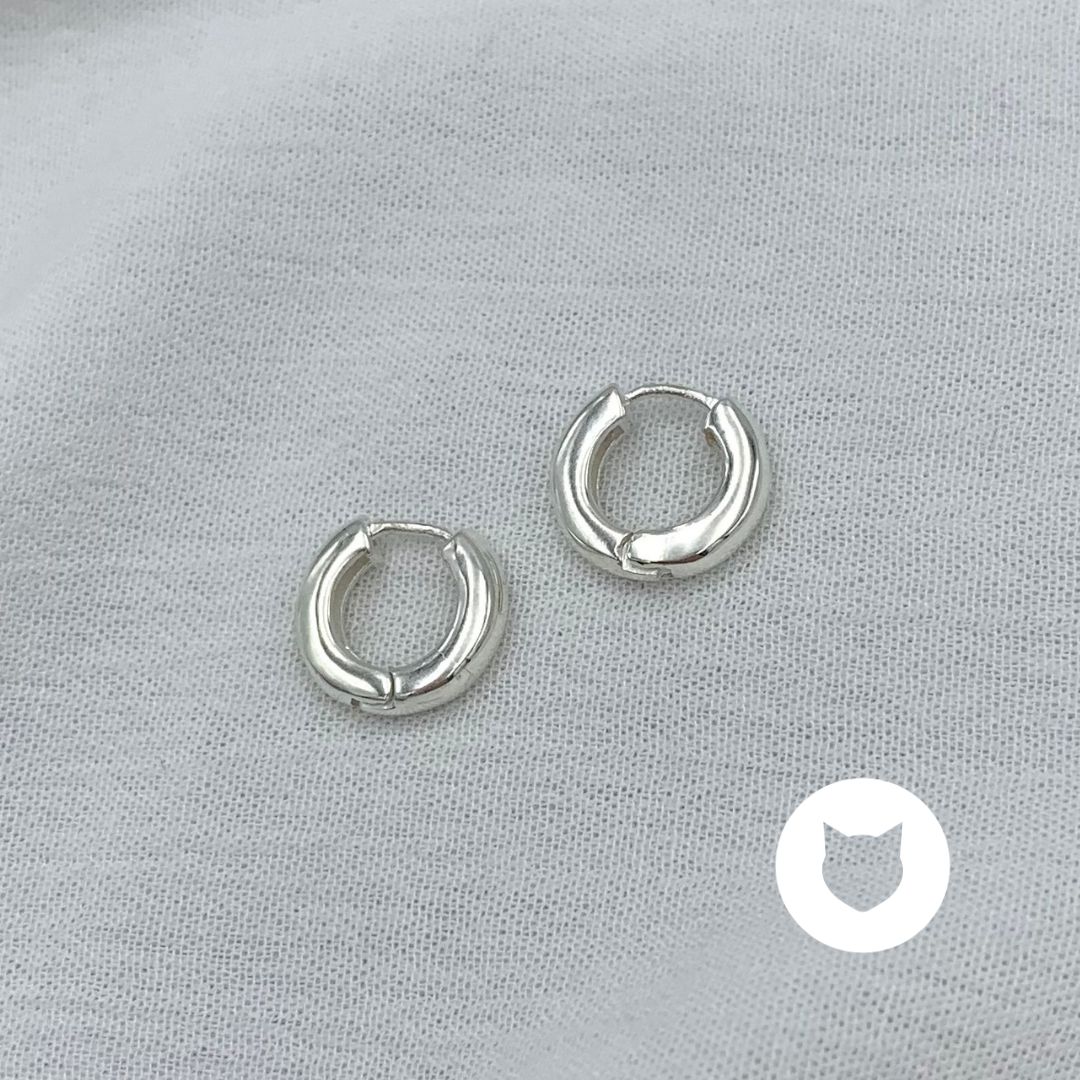 ​ARGOLLAS DE PLATA 925 AG1777L25
