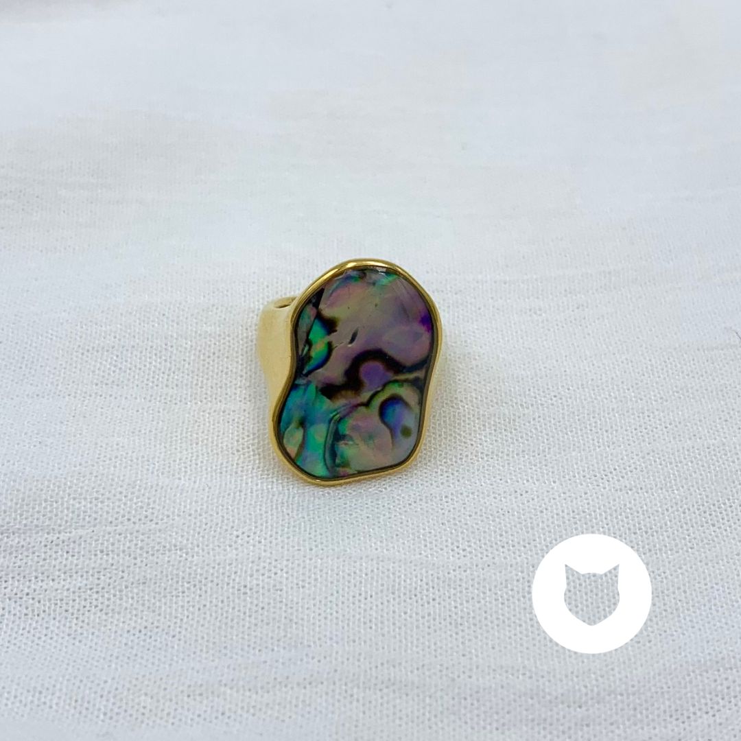 ANILLO DE ACERO INOXIDABLE AN3721G44