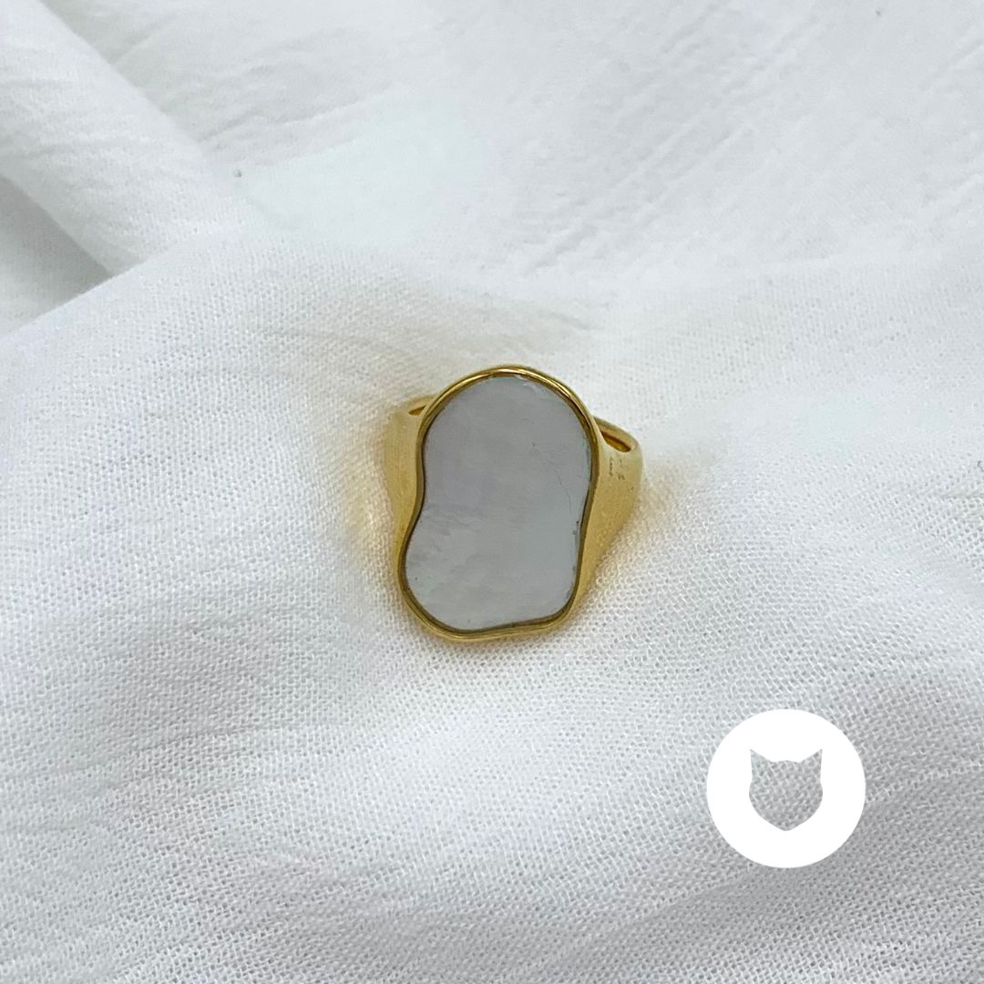 ANILLO DE ACERO INOXIDABLE AN3723G50