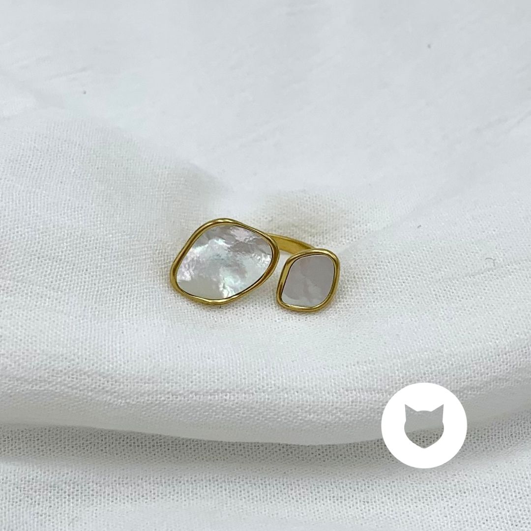 ANILLO DE ACERO INOXIDABLE AN3730G46