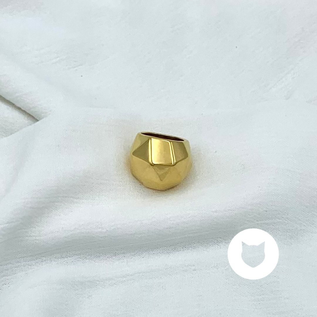ANILLO DE ACERO INOXIDABLE AN3731G45