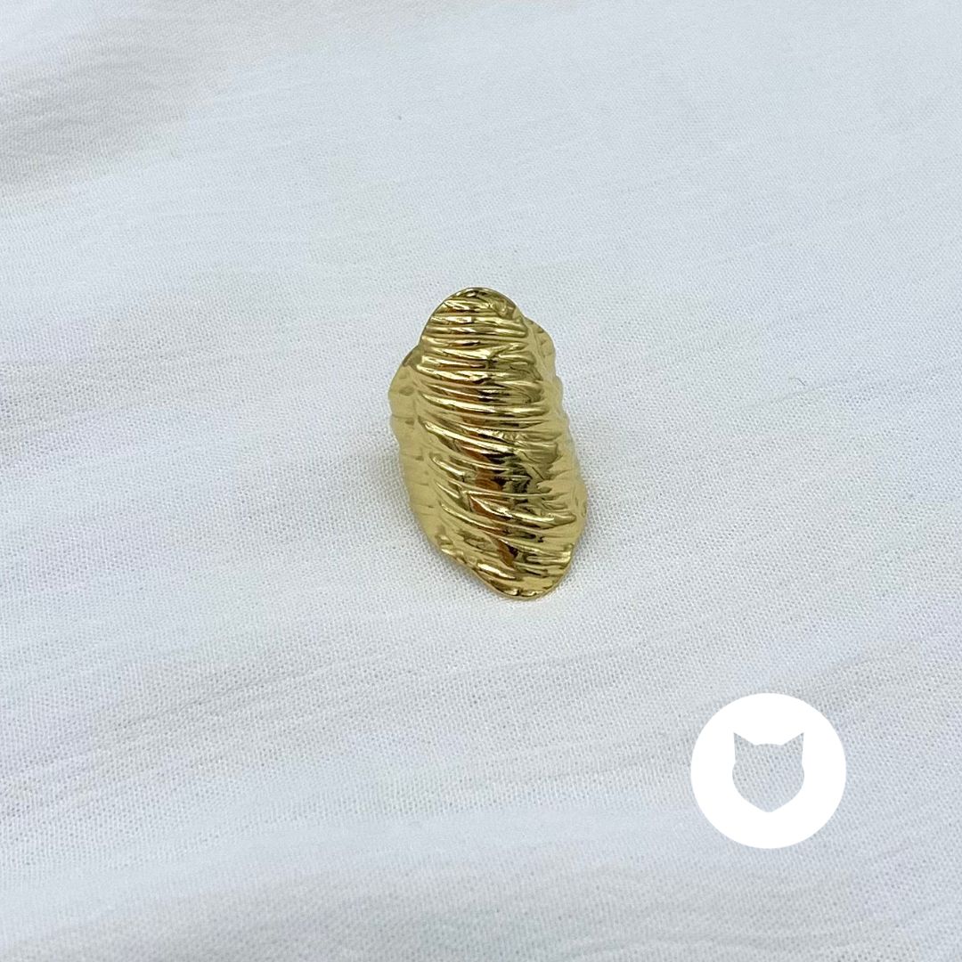 ANILLO DE ACERO INOXIDABLE AN3736G12.6