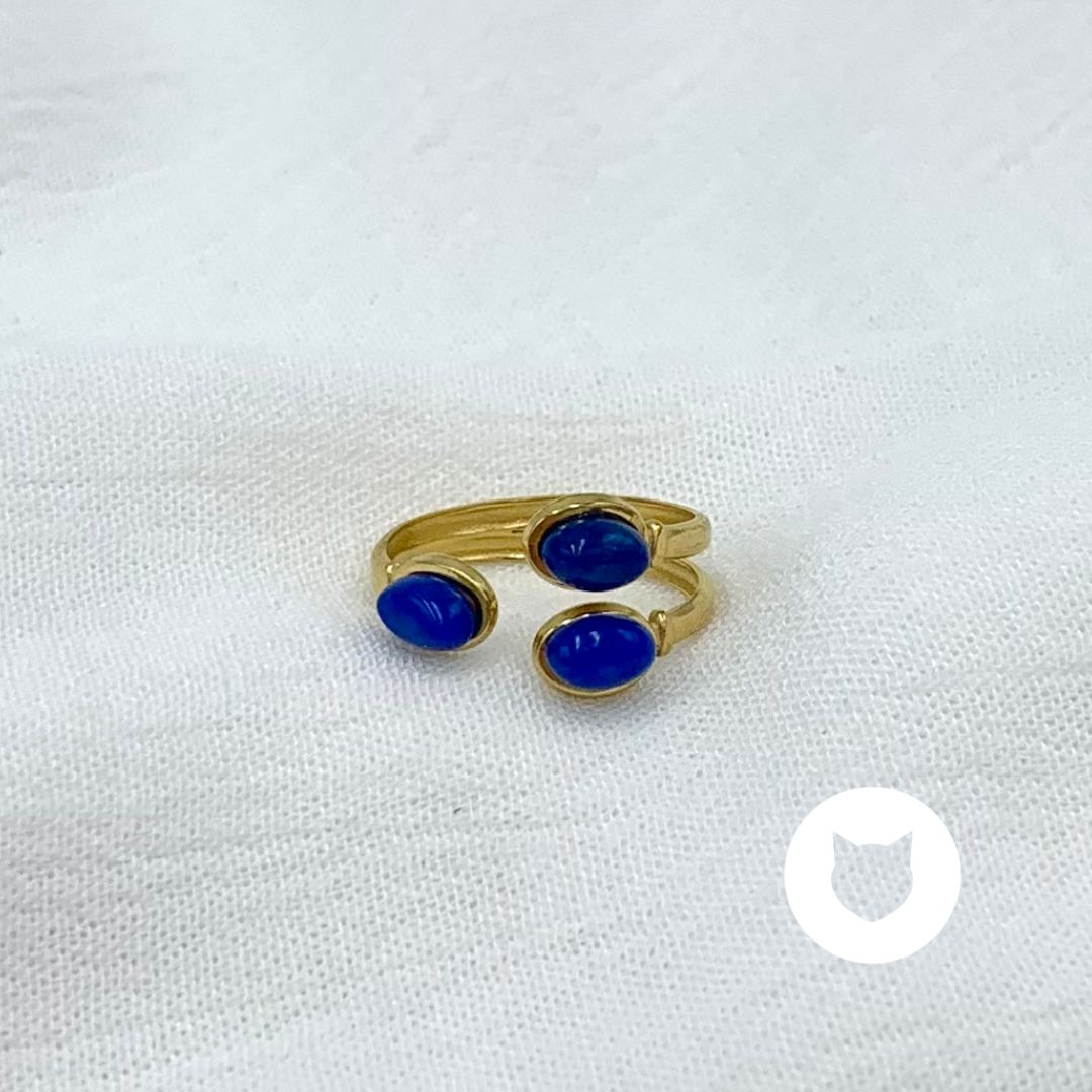 ANILLO DE ACERO INOXIDABLE AN3747G63