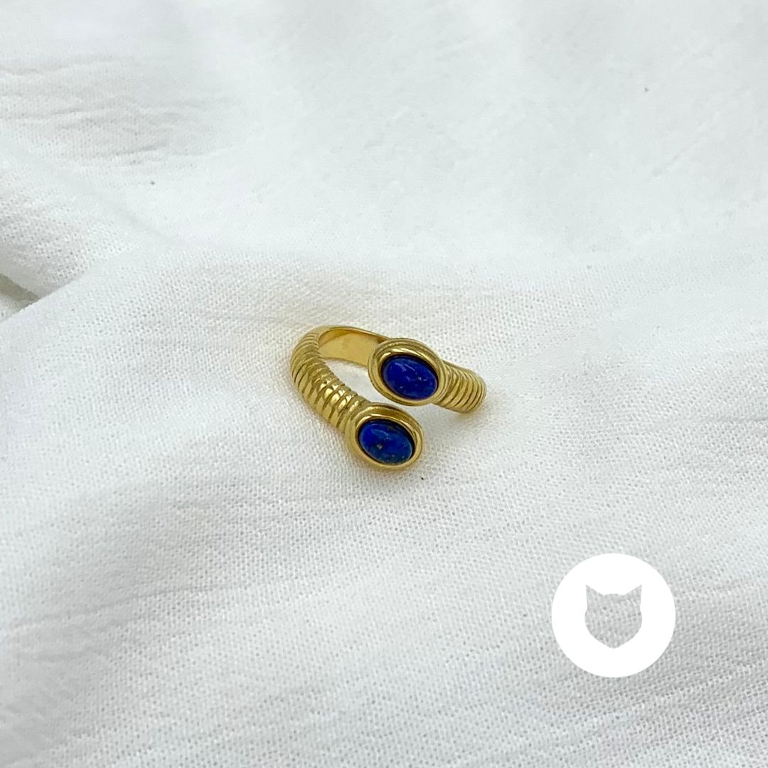 ANILLO DE ACERO INOXIDABLE AN3748G40