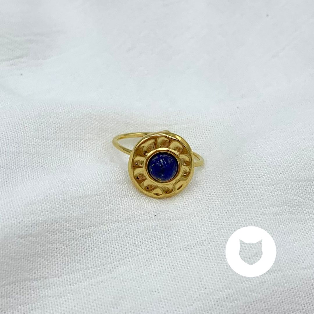 ANILLO DE ACERO INOXIDABLE AN3752G75