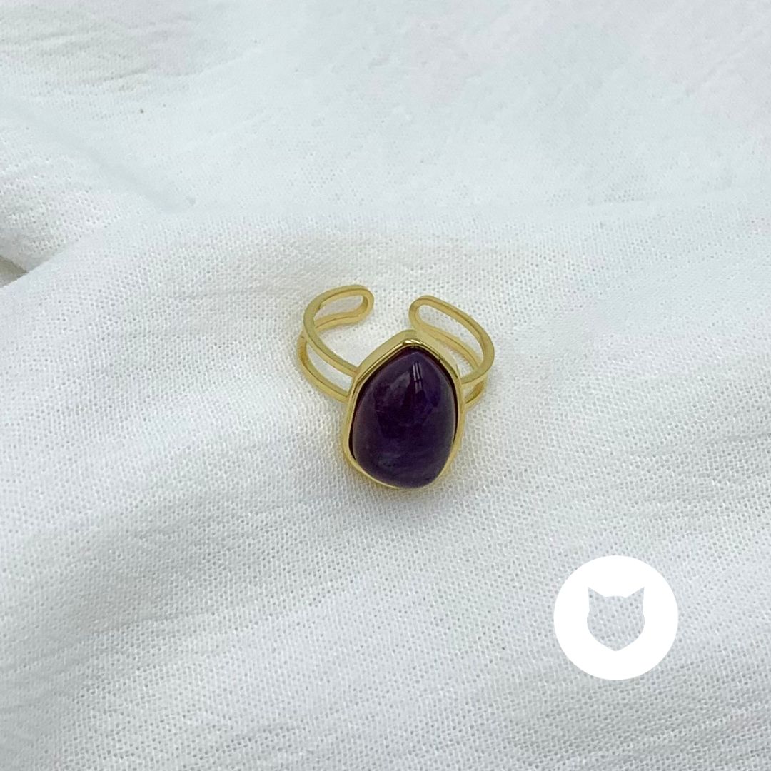 ANILLO DE ACERO INOXIDABLE AN3751G84