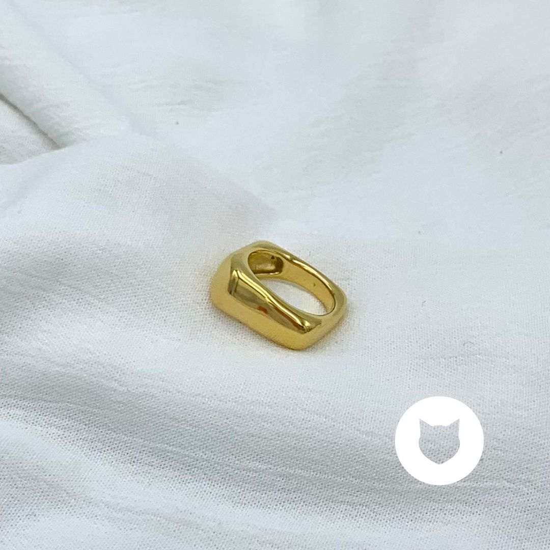 ​ANILLO DE ACERO INOXIDABLE AN3768G46