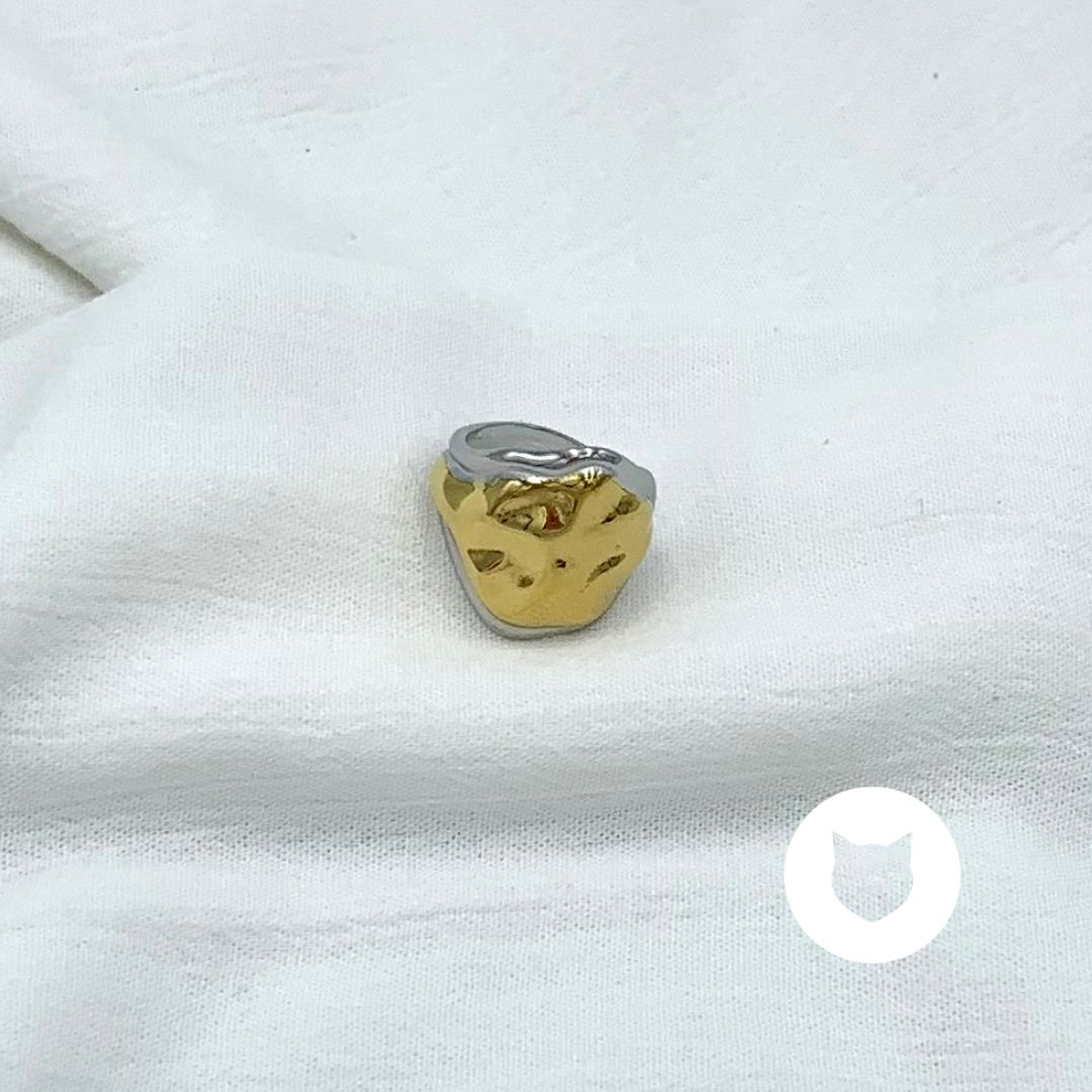​ANILLO DE ACERO INOXIDABLE METALES MIXTOS AN3785G45