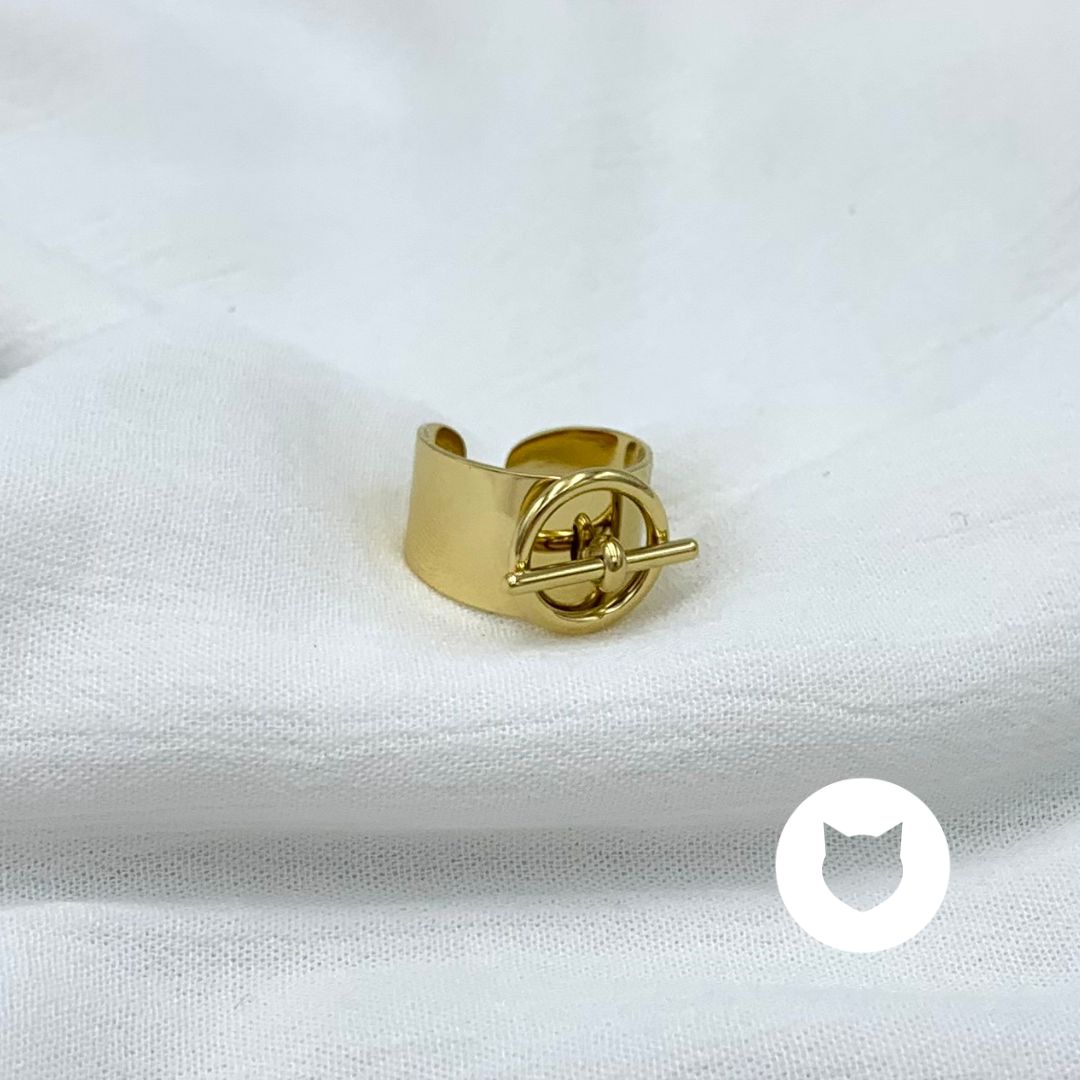 ​ANILLO DE ACERO INOXIDABLE AN3787G77
