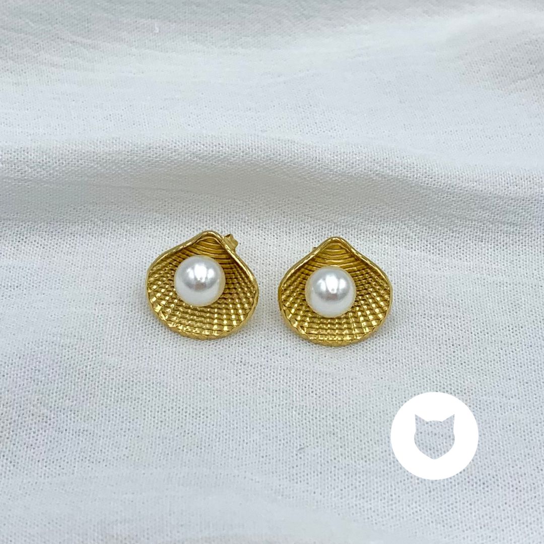 ARETES DE ACERO INOXIDABLE CONCHA AR2925G44