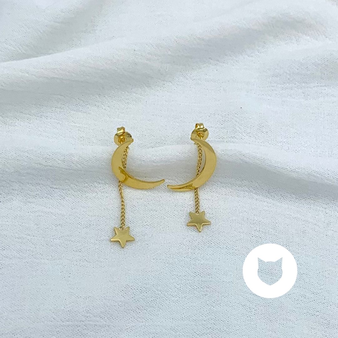ARETES DE ACERO INOXIDABLE LUNA Y ESTRELA AR2942G87