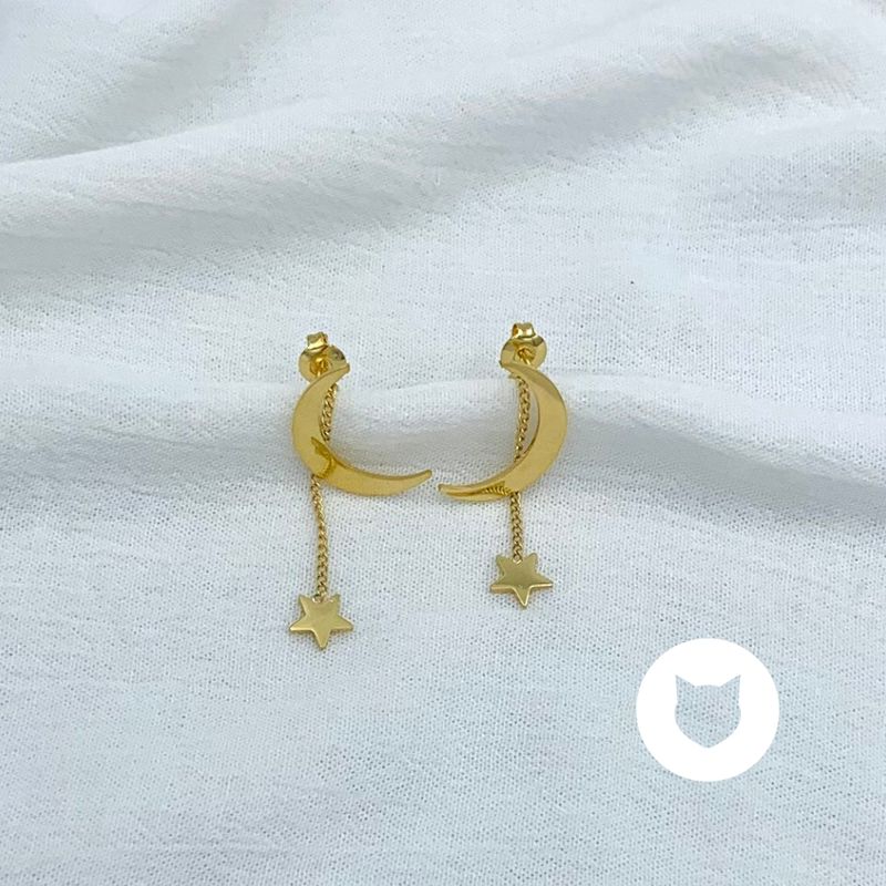 ARETES DE ACERO INOXIDABLE LUNA Y ESTRELA AR2942G87