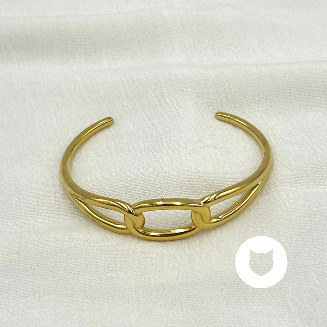 BRAZALETE DE ACERO INOXIDABLE PU1955G31