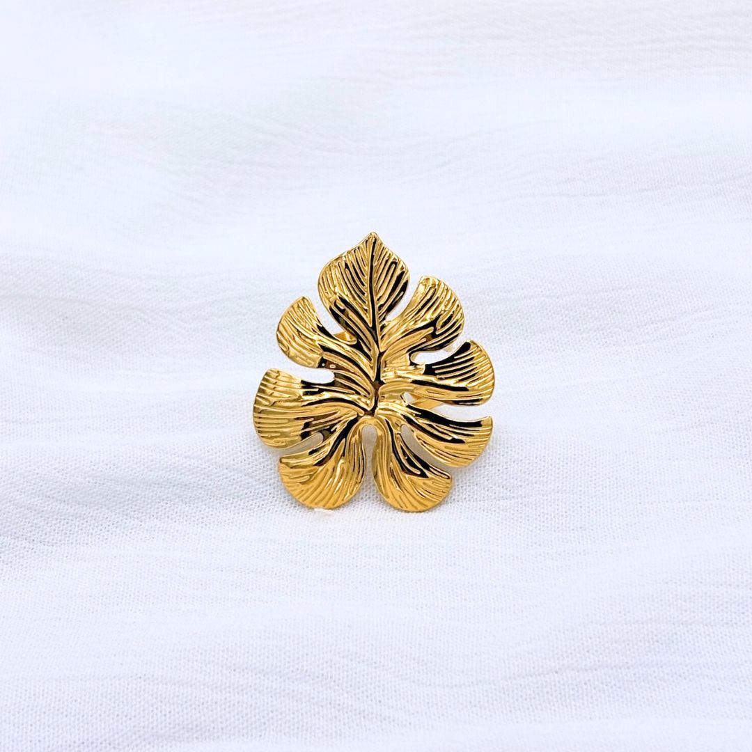 ANILLO ACERO MONSTERA AN3861G63