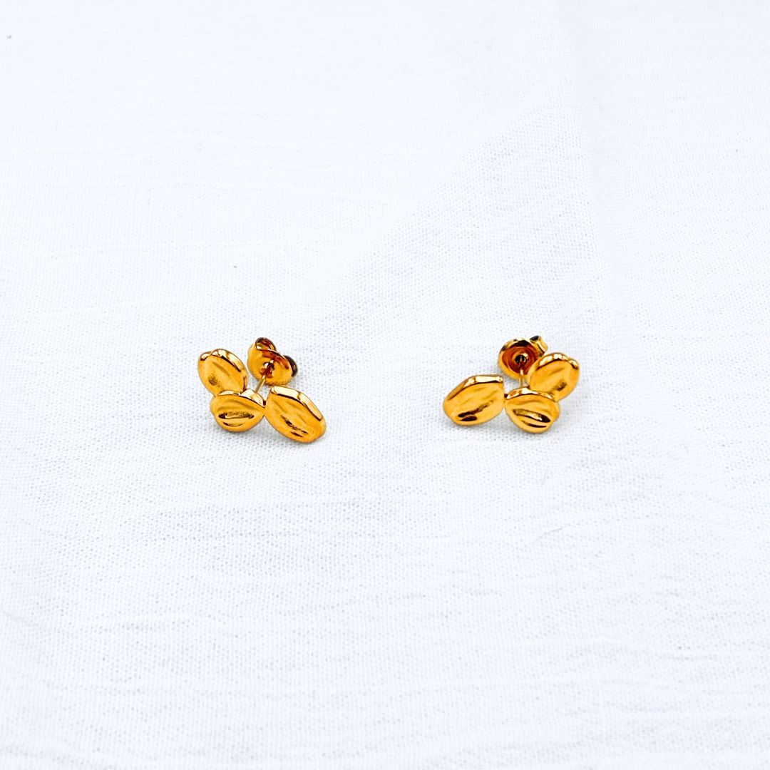 ARETES ACERO DE GRANOS DE CAFE AR3119G58 ARETES ACERO DE GRANOS DE CAFE AR3119G58