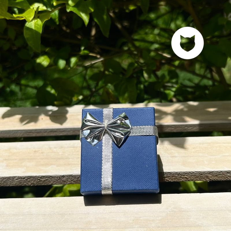 CAJA PEQUEÑA EM003L16