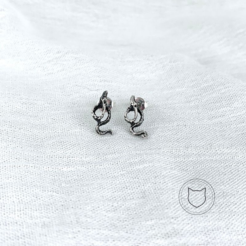 ​ARETES DE PLATA 925 AR1172M43