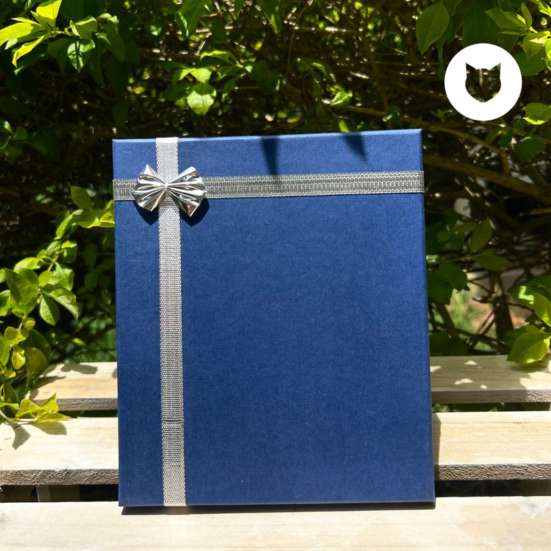 CAJA GRANDE EM001L12