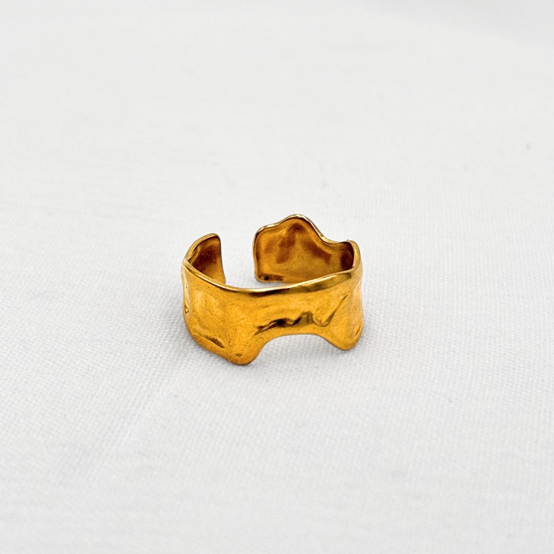 ANILLO AJUSTABLE DE BANDA ANCHA CON DISEÑO ORGÁNICO EN ACERO AN3905G137