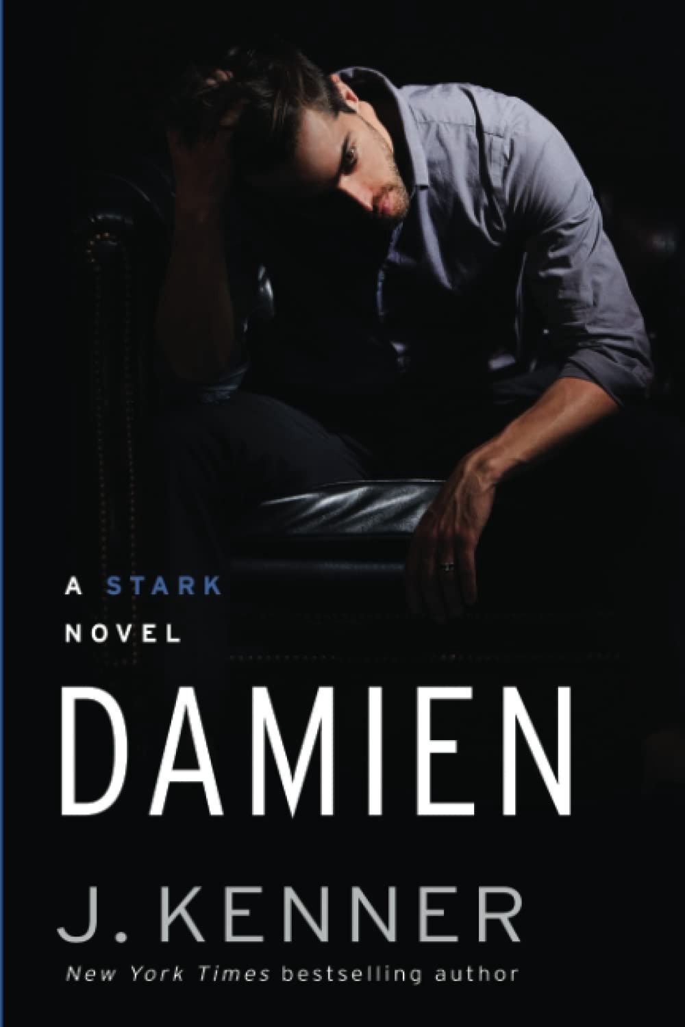 Damien: A Stark Novel Book 6
