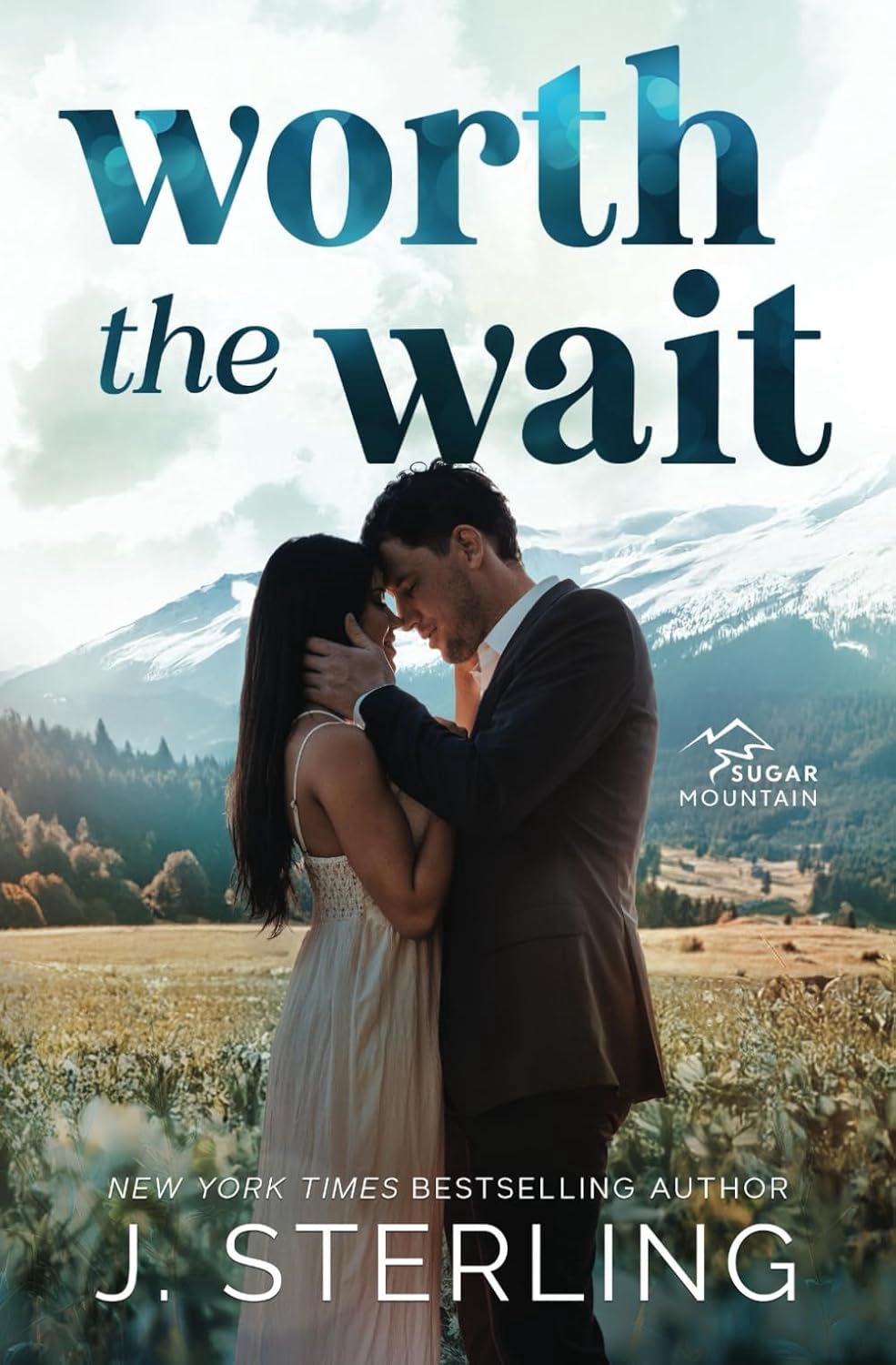 Worth the Wait (Sugar Mountain Book 2)