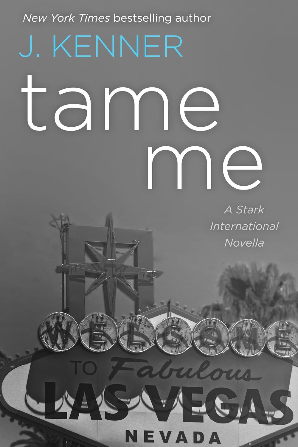 Tame Me (Stark International Security, Book 1)