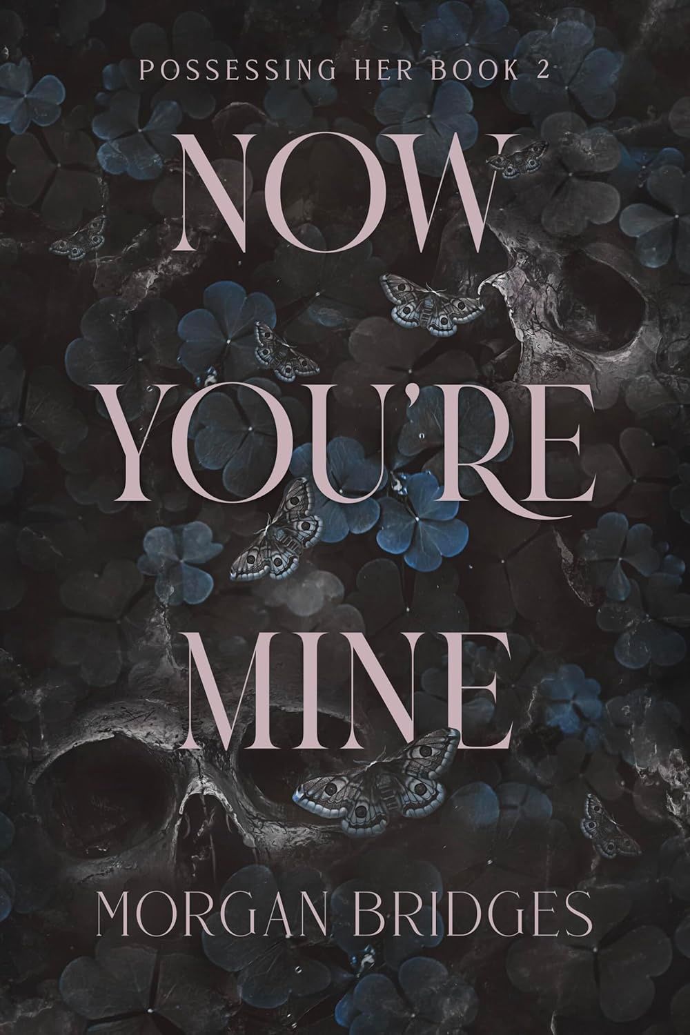 Now You&#39;re Mine: A Dark Stalker Romance