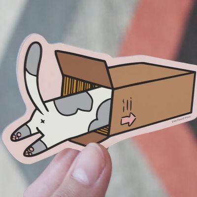 Cat Box Vinyl Sticker