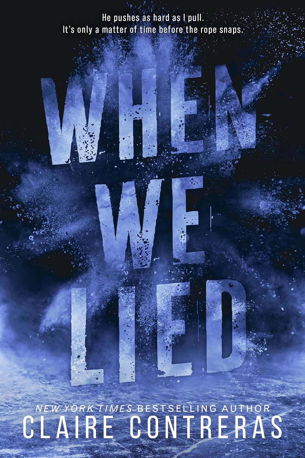 When We Lied (Fairview Hockey Book 2)