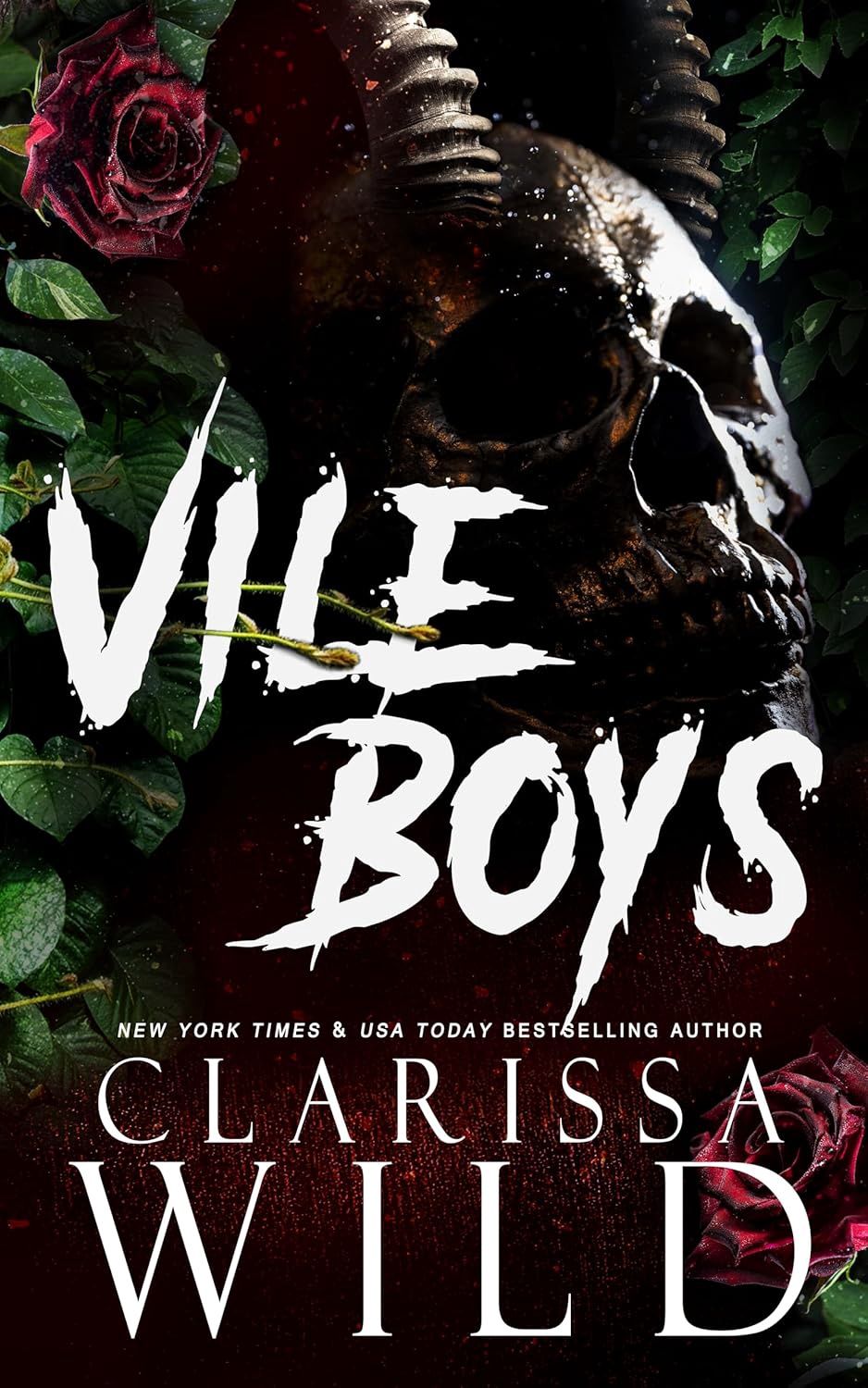 VILE BOYS