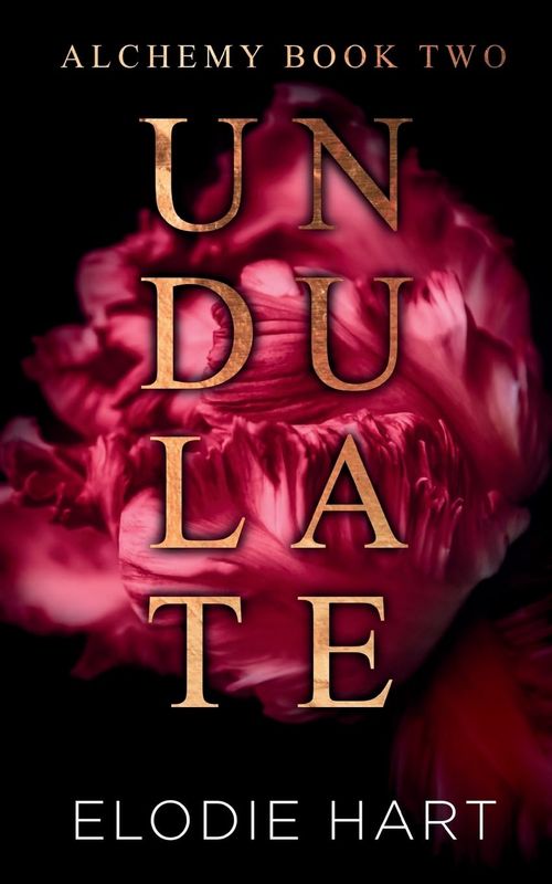 Undulate: A Hot Age Gap, Single Dad Romance (Alchemy Book 2)