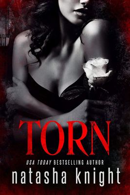 Torn (Dark Legacy Trilogy Book 2)