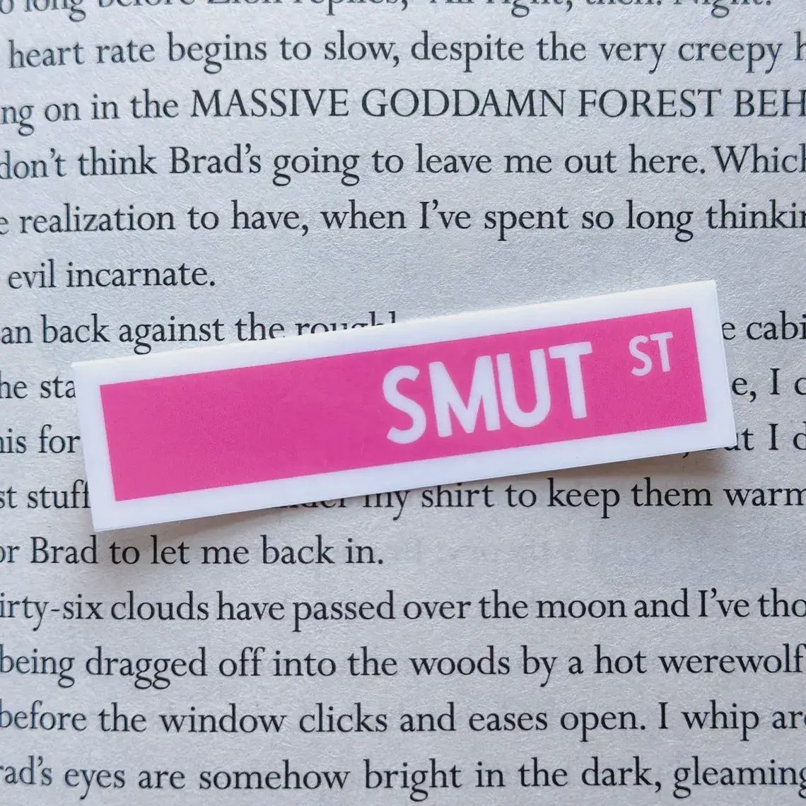 Smut Street Sign Book Sticker