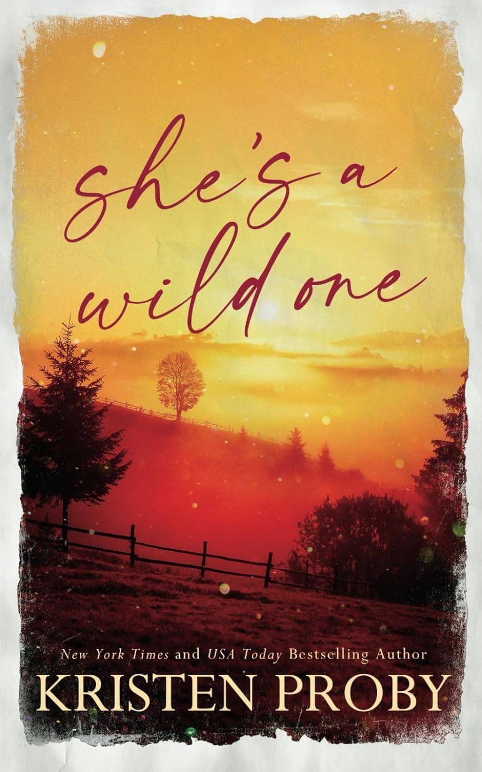 She&#39;s a Wild One - Special Edition: A Small Town, Second Chance, Rival Families Romance (The Wilds of Montana)