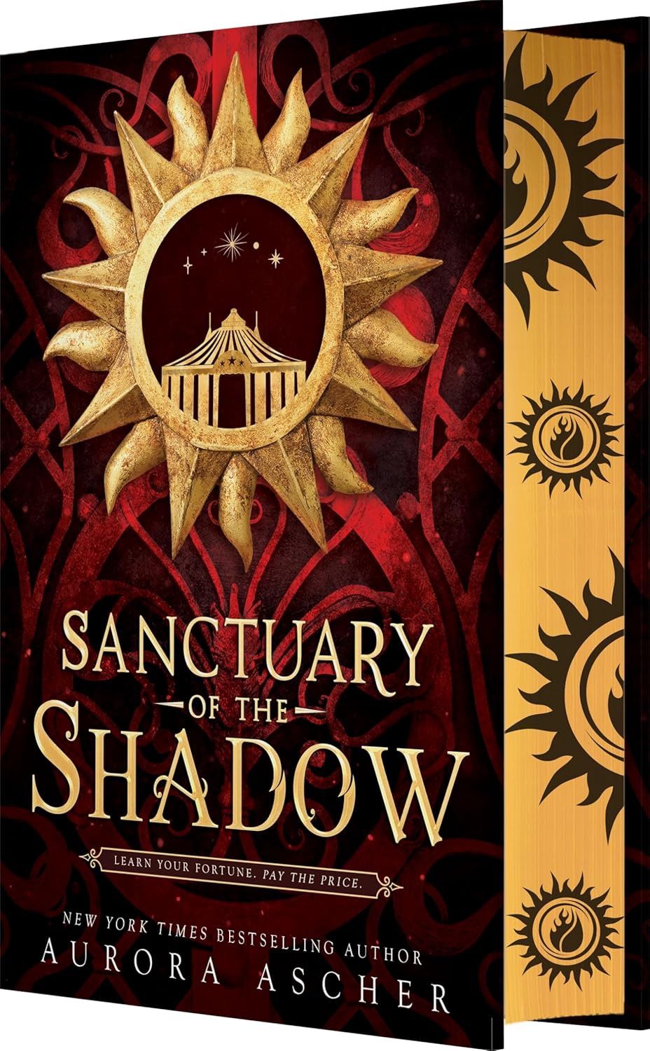 Sanctuary of the Shadow (Elemental Emergence, 1)