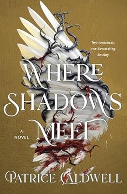 Where Shadows Meet