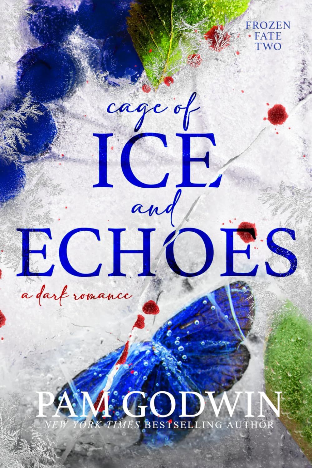 CAGE OF ICE &amp; ECHOES
