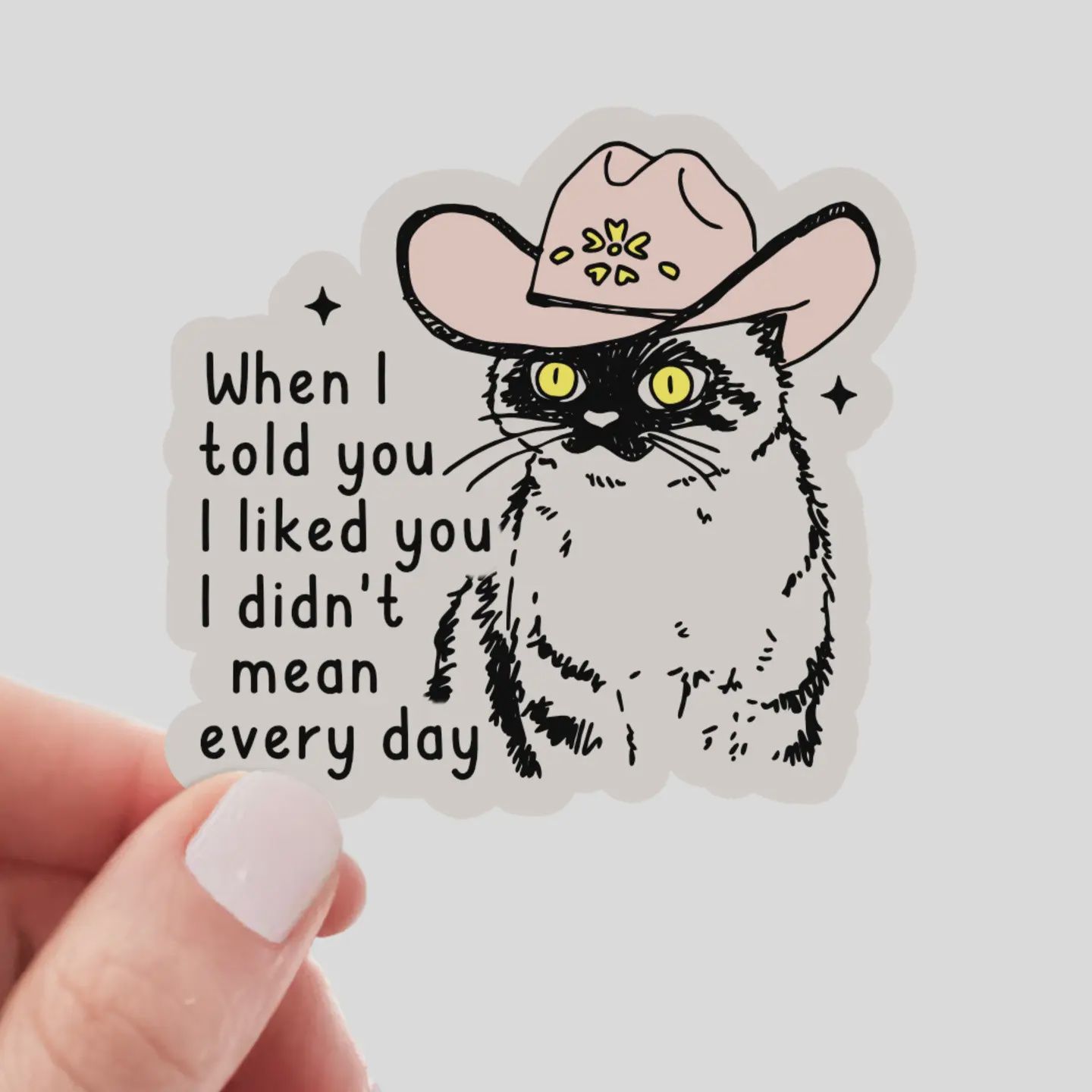 When I Told You I Liked You I Didn&#39;t Mean Every Day Sticker