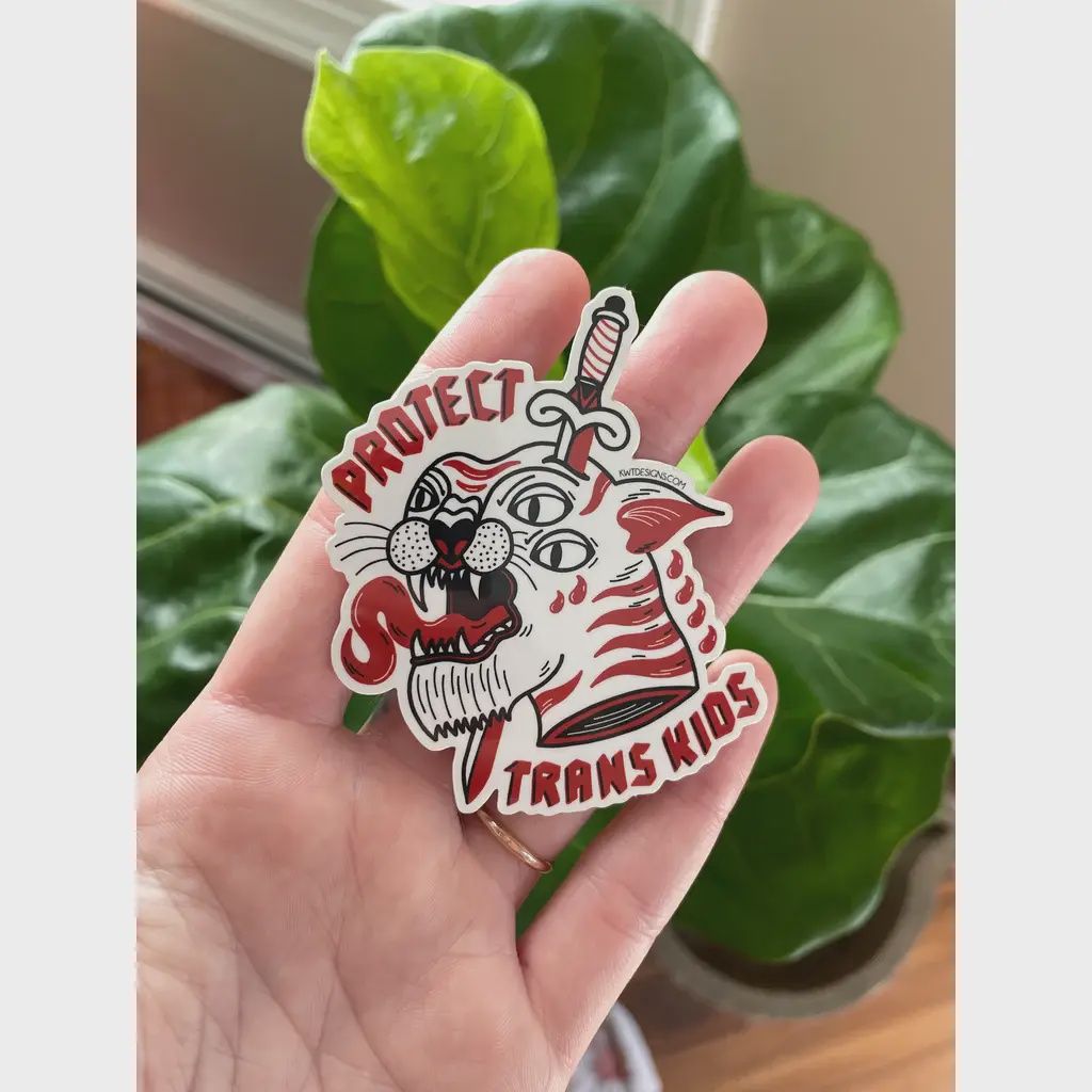 Protect Trans Kids Sticker